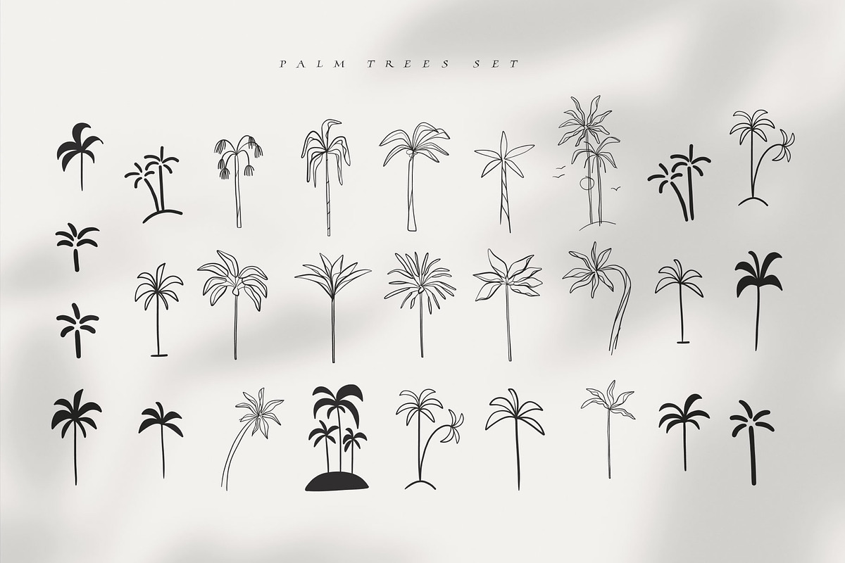 Palm summers, an Object Illustration by Anastasy_helter (Photo 3 of 20)