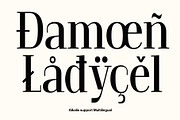 Alkalis – Modern Elegant Serif, a Serif Font by Craft Supply Co. (Thumbnail 6 of 8)