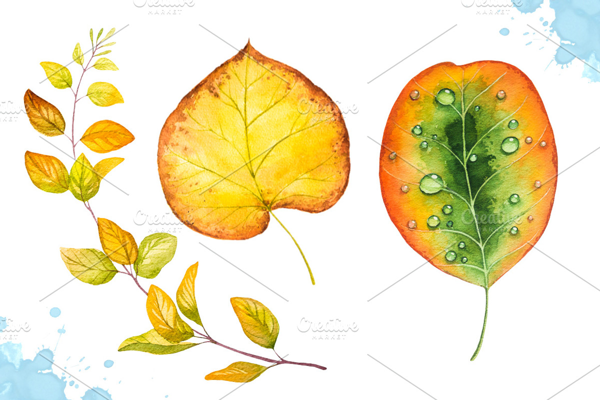 Autumn leaves. Watercolor set., a Decorative Illustration by AlexGreenArt (Photo 6 of 11)