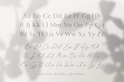 Living Dreams - Serif & Script Font, a Serif Font by AndrewPixel (Thumbnail 7 of 11)