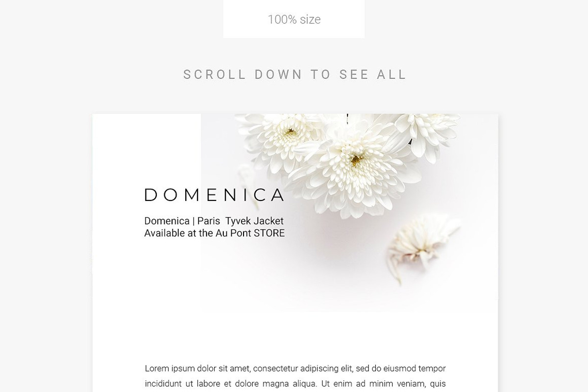 Clean E-Newsletter Bundle, an Email Template by Swiss_cube (Photo 22 of 23)