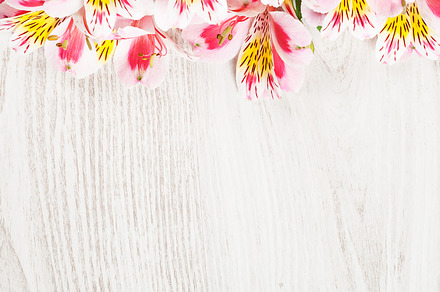 Spring Flowers On Light Background preview 5