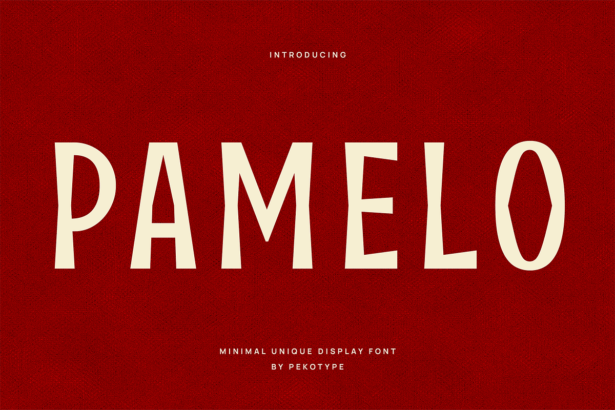 Pamelo - Bold Sans Serif Font, a Sans Serif Font by Pekotype (Photo 1 of 15)