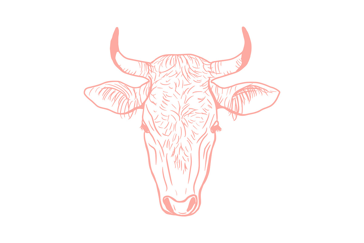 Vector Bovine Graphics, an Animal Illustration by Dorey Kronick Art&Design (Photo 6 of 19)