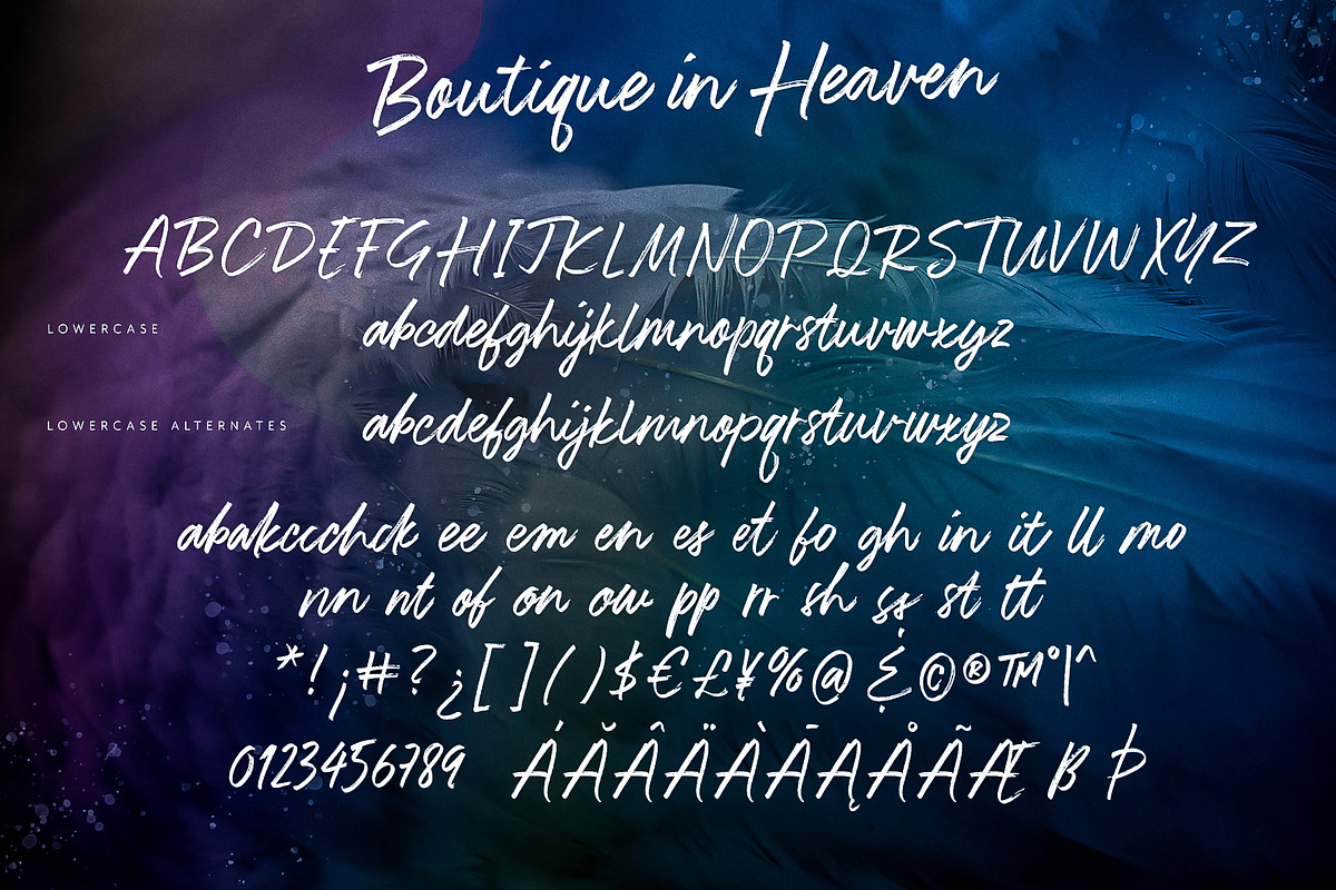 Boutique in Heaven Font, a Script Font by Ivan Rosenberg (Photo 11 of 11)
