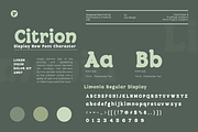 Retro Vibes Rounded Serif - Citrion, a Serif Font by roomspace creative lab (Thumbnail 12 of 13)