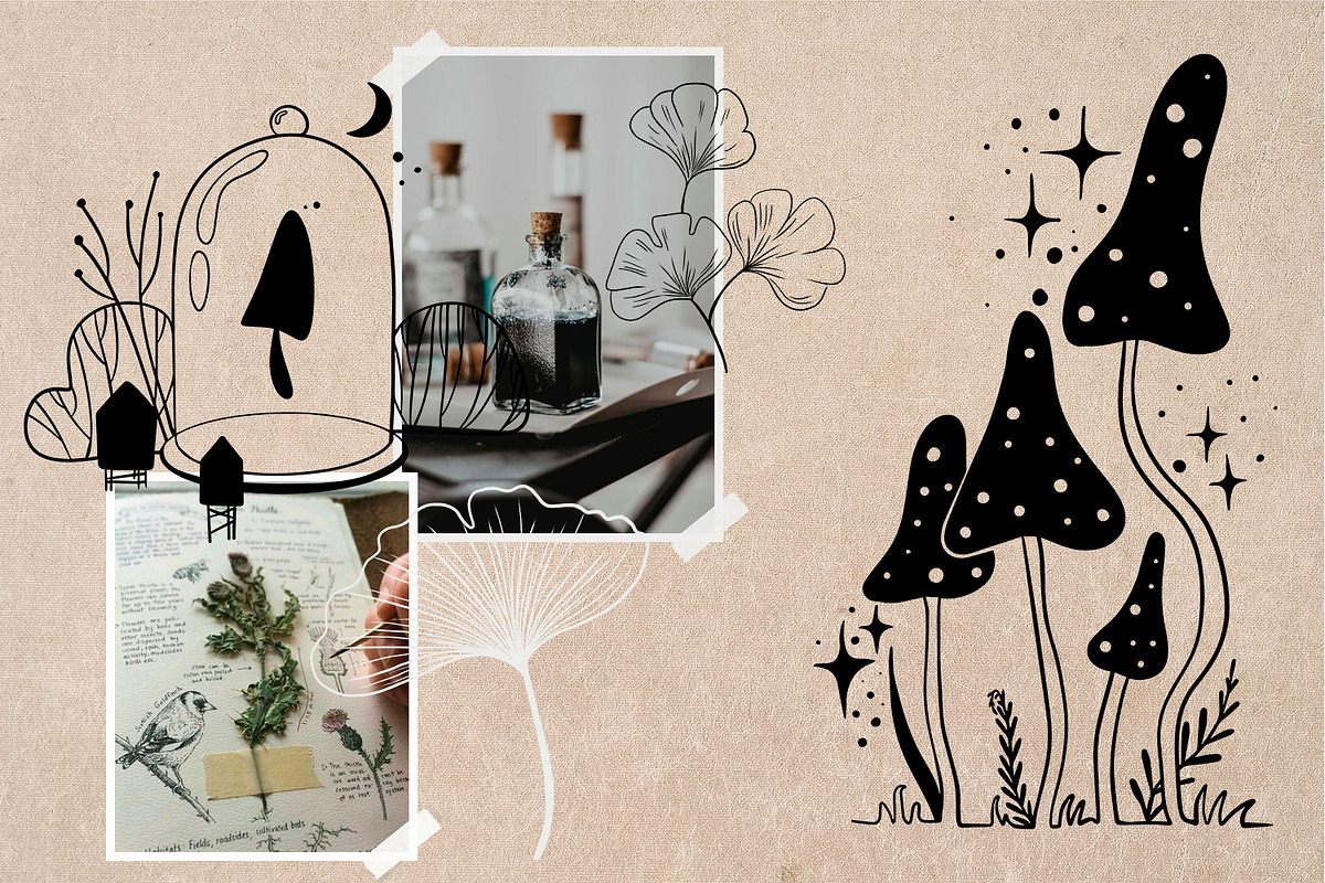 Mushrooms mystical collection, an Object Illustration by annasokol_ (Photo 3 of 12)