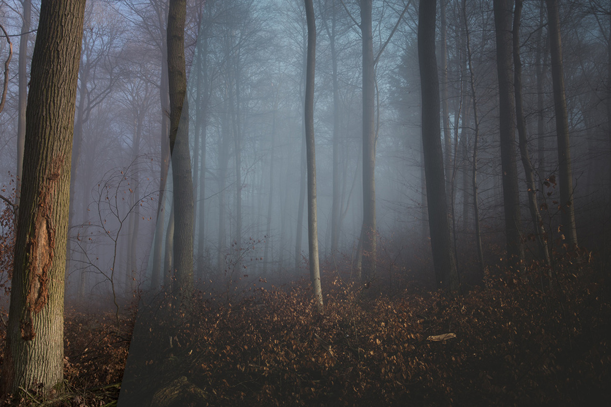 Moody Lightroom Presets - Soft Light, an Action Add-On by PhotoMarket (Photo 20 of 33)