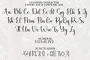 Delight Autography, a Handwritten Font by FreshTypeINK (Thumbnail 2 of 8)