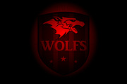 Great set sport logo (60off), an Animal Illustration by pashigorov (Thumbnail 16 of 16)