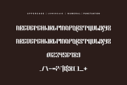 Qaenrevy -  Modern & Luxury Font, a Sans Serif Font by QR Design Studio (Thumbnail 5 of 6)
