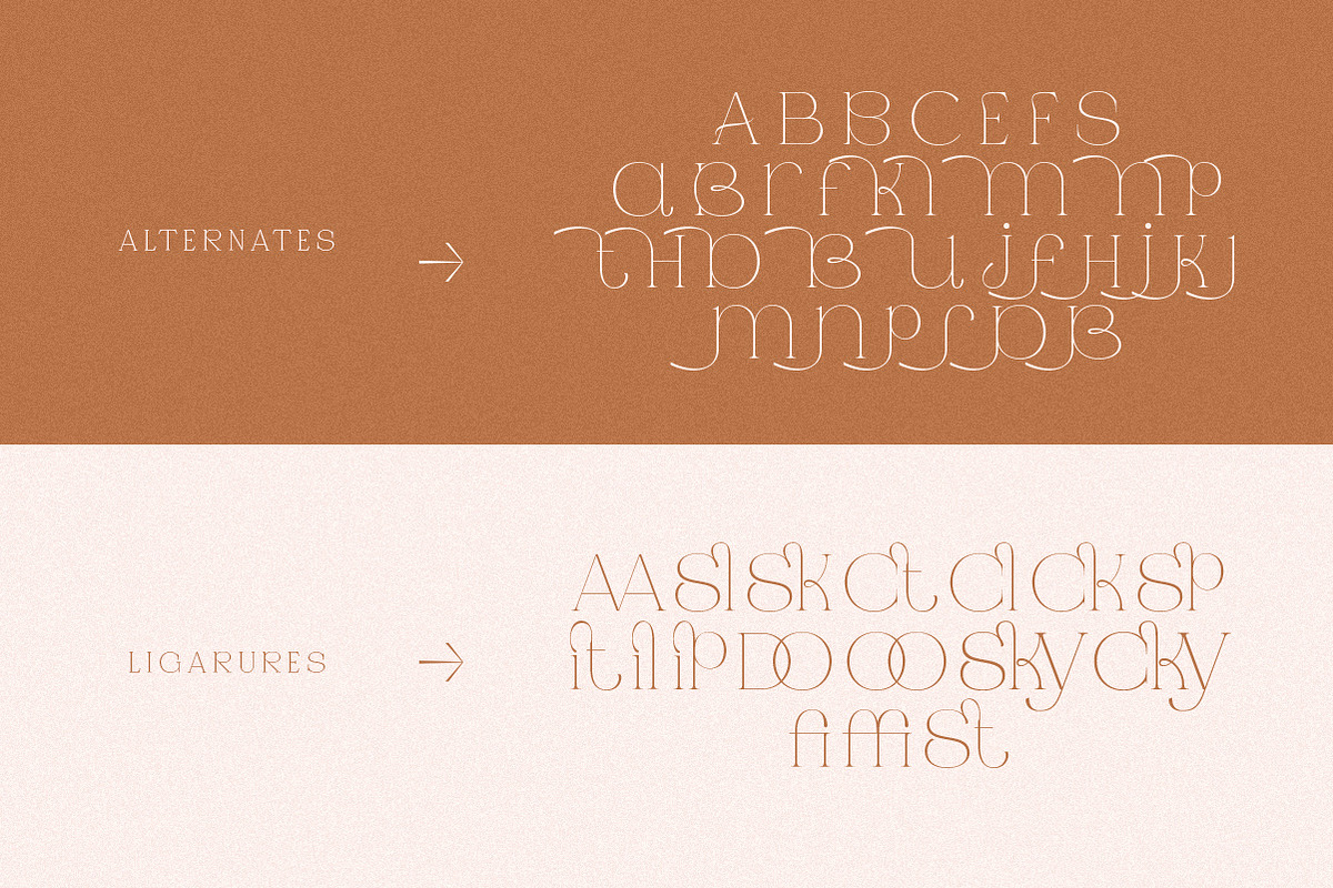 Jaque | Royal Serif, a Serif Font by Pentagonistudio (Photo 11 of 12)