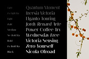 Melloida High Contrast Sans Family, a Sans Serif Font by Lettertype Studio (Thumbnail 8 of 15)