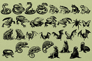 330 ZOO Animals vector illustrations, an Animal Illustration by Nocturnal Wolf (Thumbnail 14 of 18)