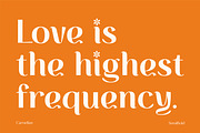 CARNELIAN - Display Variable Type, a Sans Serif Font by Artflorara (Thumbnail 6 of 15)
