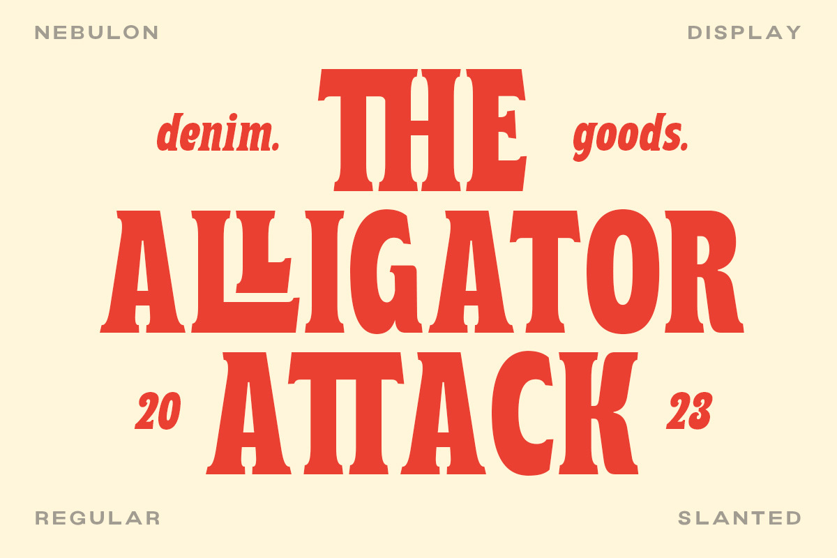 Nebulon - Bold Display Font, a Serif Font by Letterhend Studio (Photo 7 of 9)