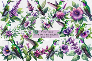 Beautiful Hummingbird Watercolor Png, an Illustration by Creative Art