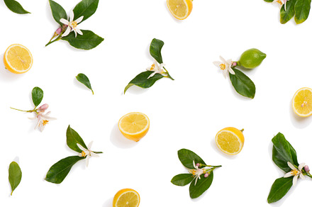 Lemon and blossom  flat lay containing blossom, lemon, and flower