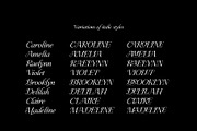 Ceciliany Serif Font Family, a Serif Font by Ryul Davidson (Thumbnail 12 of 25)