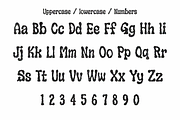 Mireforge - Organic Display Font, a Handwritten Font by Wellscript Studio (Thumbnail 13 of 15)