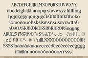 Vielotta Elegant Editorial Serif, a Serif Font by AmorfaType (Thumbnail 8 of 8)