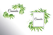 Cannabis. Watercolor collection, a Healthcare Illustration by Daria Ustiugova (Thumbnail 8 of 12)
