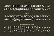 Wonder Society - Family Modern Serif, a Serif Font by Font Liner (Thumbnail 10 of 10)