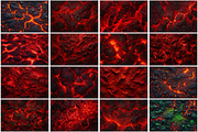 Lava Texture Background, a Texture Graphic by Forhadx5 (Thumbnail 7 of 8)