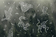 Tootem Bundle, an Animal Illustration by Annie Konst (Thumbnail 2 of 20)
