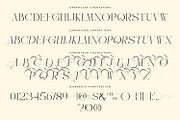 Govhie Deries Aesthetic Elegant, a Serif Font by Typetemp Studio (Thumbnail 8 of 11)