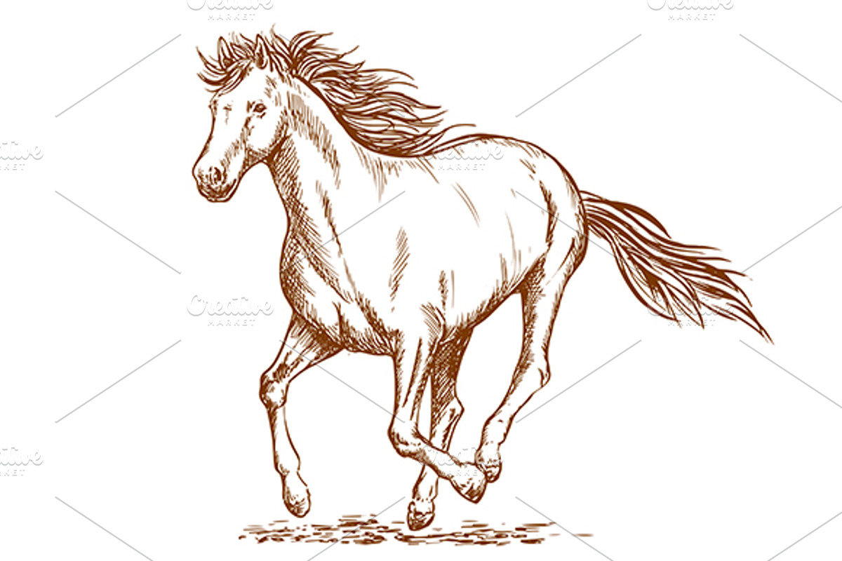 Brown running horse sketch, a Background Graphic by Vector Tradition