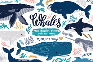 Cute Whales. Characters & patterns