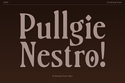CS Marigold Drawn, a Serif Font by Craft Supply Co. (Thumbnail 4 of 8)