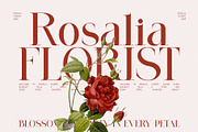 Mondy Modern Serif Font, a Serif Font by Perfectype (Thumbnail 6 of 8)