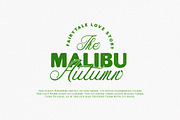Festival Britony Font Duo, a Script Font by Letter Fresh (Thumbnail 6 of 12)