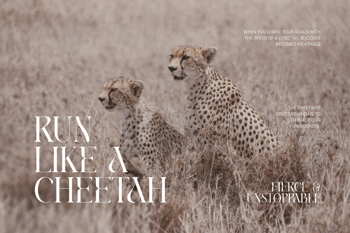 Kang Minter Elegant Serif Font, a Serif Font by Perfectype (Photo 3 of 7)