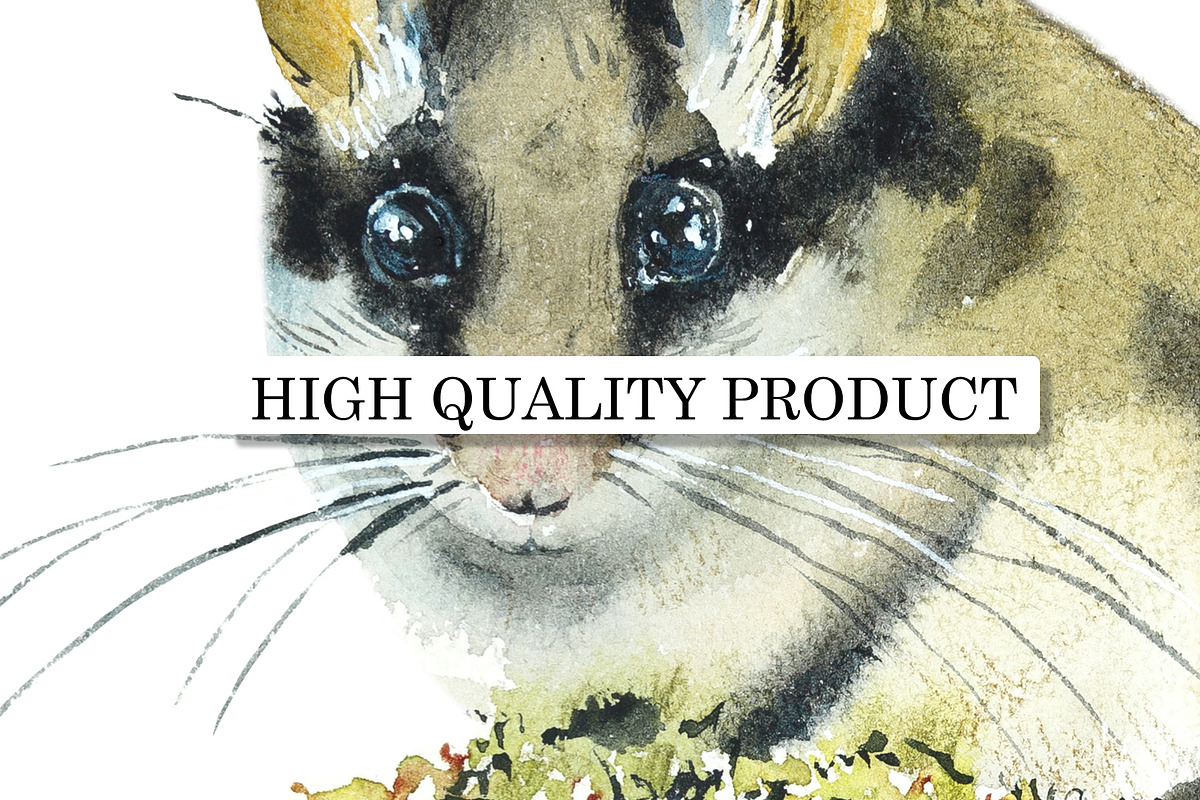 Watercolor Garden Dormouse, an Object Graphic by Budogoshch (Photo 4 of 4)