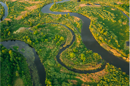 Aerial View Green Forest Woods And, a Nature Photo by Our Amazing World