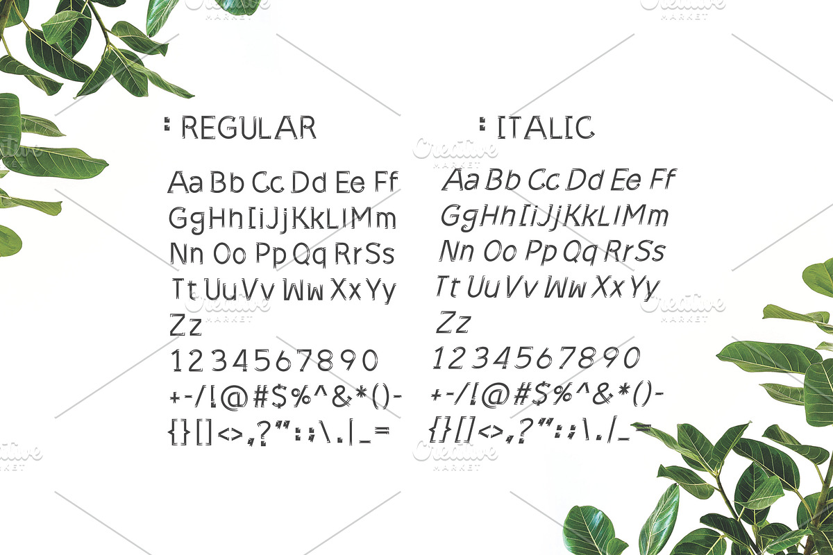Sonif Farm Brush Font preview 2