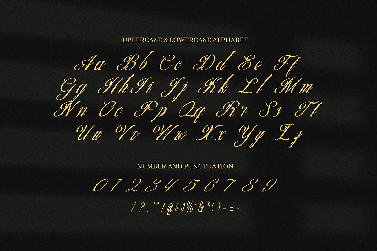 Beatric Elegant Script Font, a Script Font by Elegant Font (Photo 8 of 8)