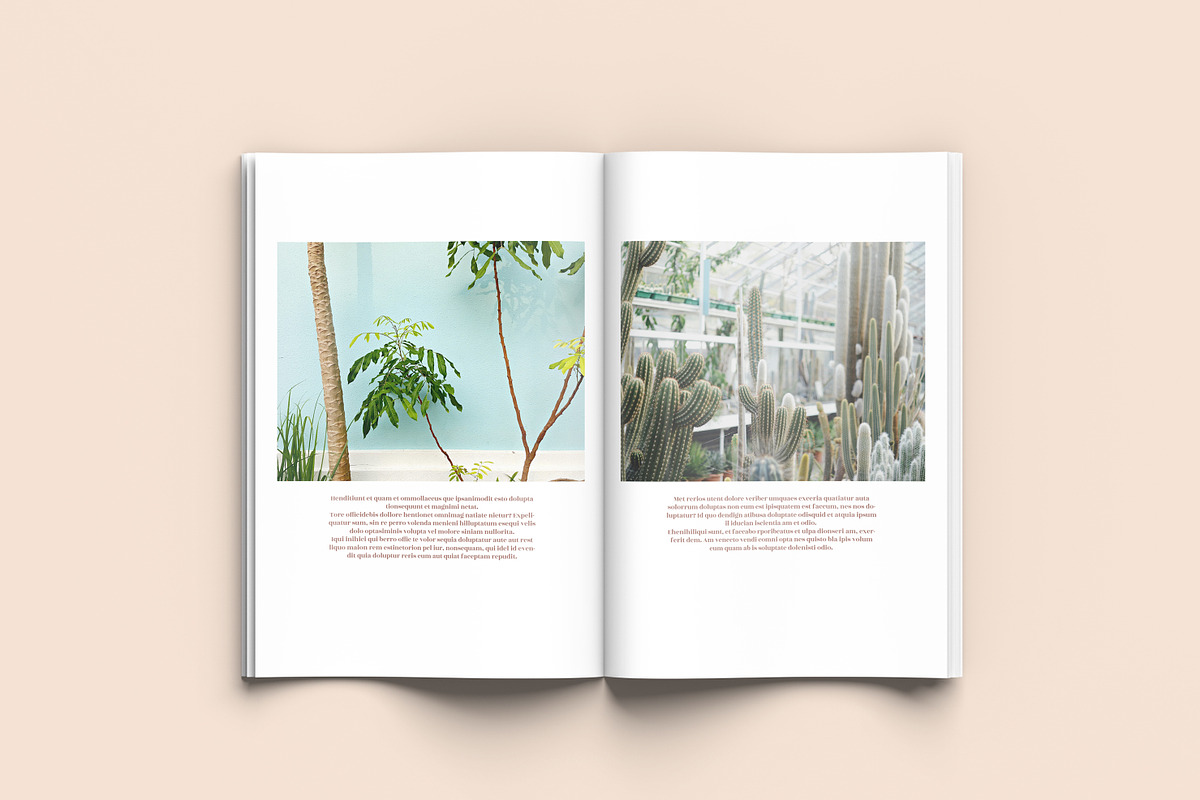 Seed - A4 Magazine Template, a Magazine Template by Tèrso. (Photo 9 of 10)