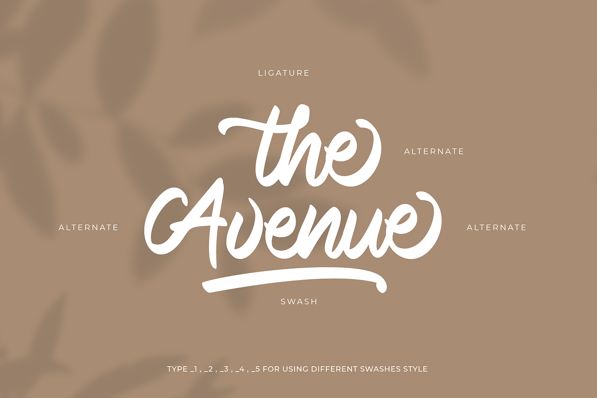 Maira Script Font (Updated!), a Script Font by Prestigetype (Photo 5 of 7)