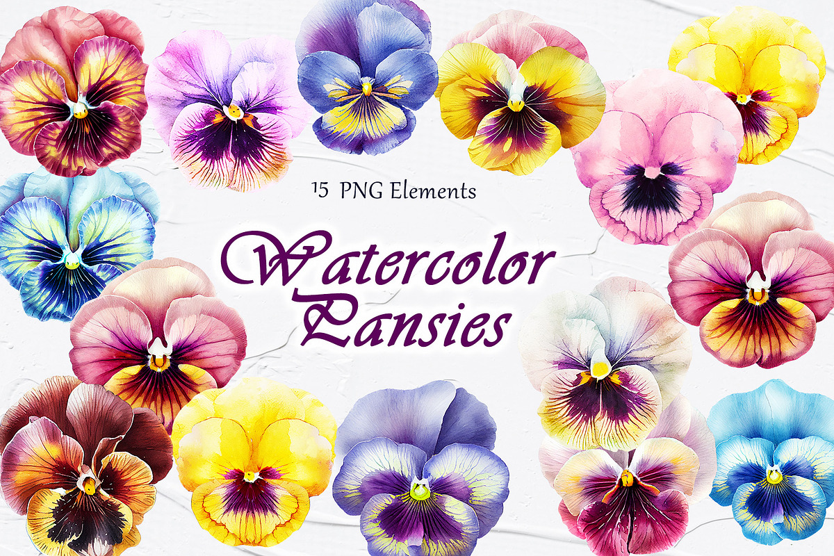 Watercolor Pansy Flowers Clipart, an Object Illustration by BarvArt (Photo 1 of 4)