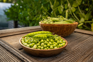 Freshly harvested green peas, a Photo by Grafvision photography