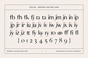 skylar - modern ligature sans font, a Sans Serif Font by SilverStag Type Foundry (Thumbnail 18 of 18)