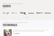 Debut - The Ultimate Portfolio Theme, a WordPress Template by TymBerry (Thumbnail 5 of 5)