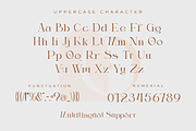 Thanjidor - Elegant Serif Typeface, a Serif Font by overlaytemplates (Thumbnail 5 of 5)