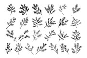 50 Pine brunch Procreate Stamps, a Brush Add-On by Procreate Sale (Thumbnail 5 of 6)