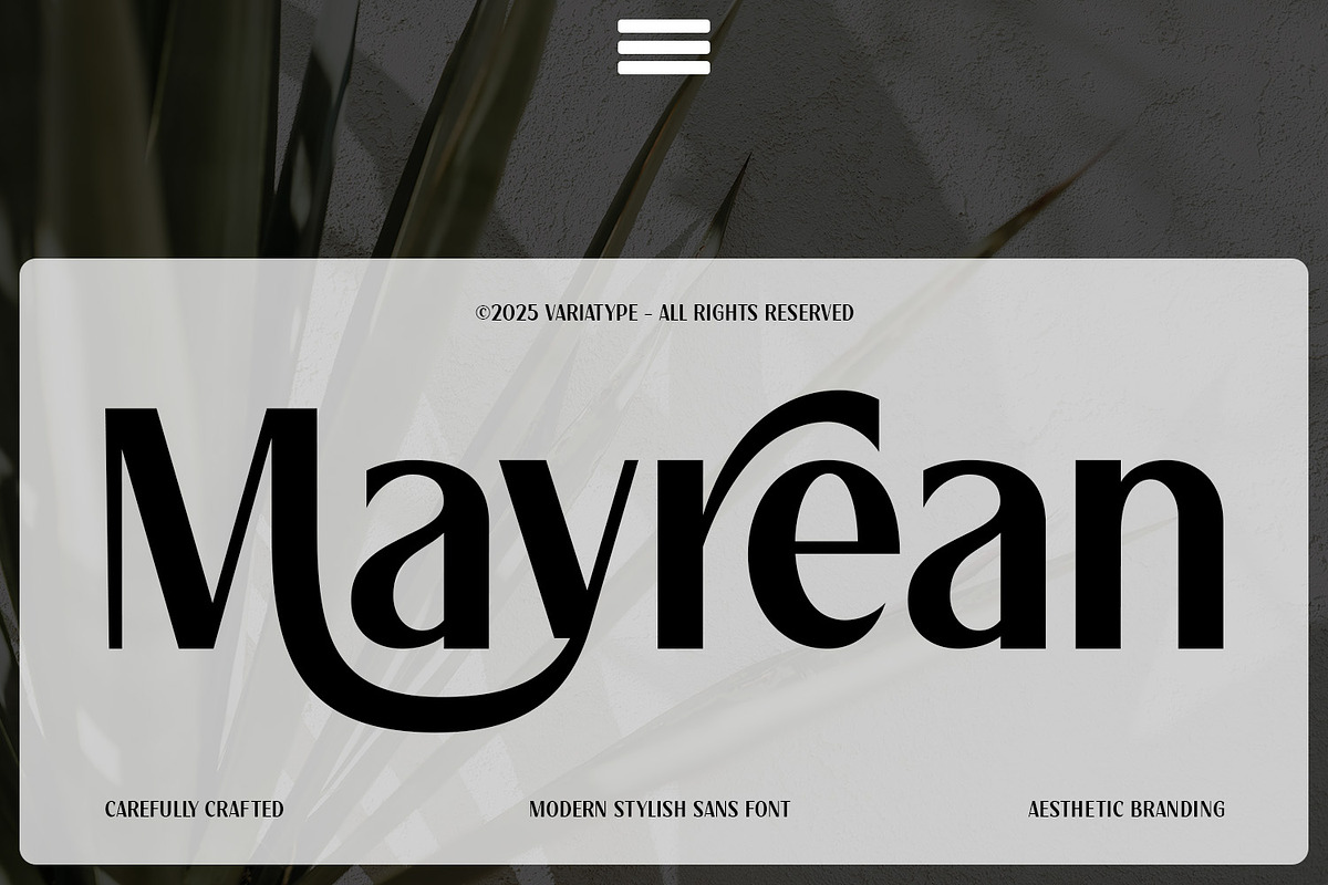 Mayrean - Modern Stylish Sans, a Sans Serif Font by Variatype (Photo 1 of 7)