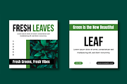 Botanical Social Media Post Template, a Social Media Template by MightyDesign (Thumbnail 3 of 8)